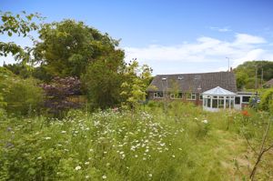 Photo 13- click for photo gallery